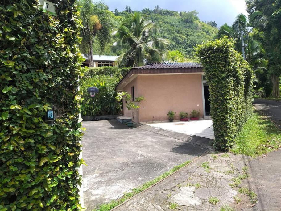 Vacation House In Tahiti Punaauia  Eksteriør bilde